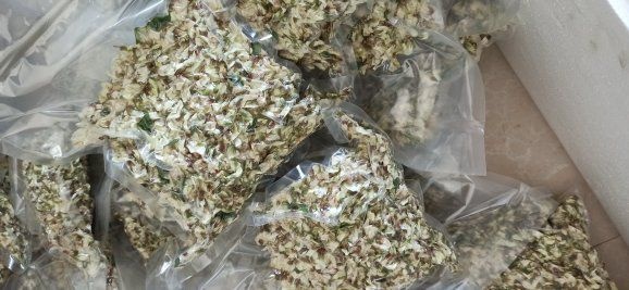镇平县槐花