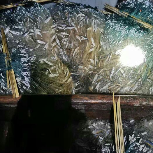 干鱼 各种鱼干，大小都有价格实惠，欢迎选购