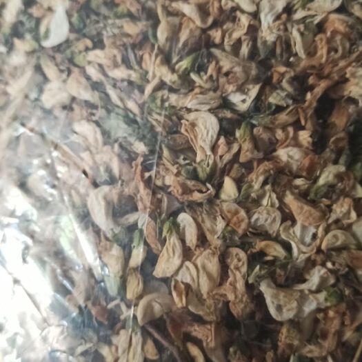 镇平县槐花干 脱水槐花