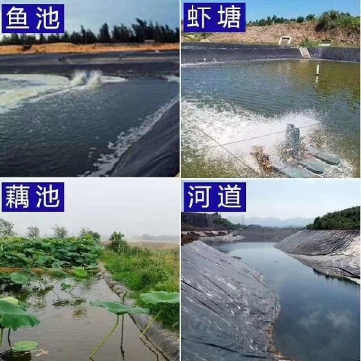 德州 鱼塘，藕池，沼气池，化粪池专用防渗膜