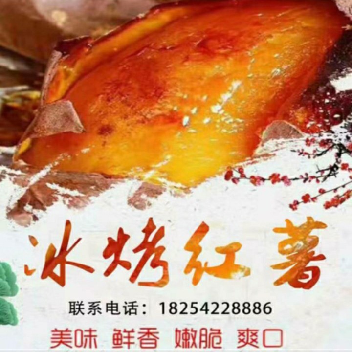 青岛速冻烤红薯 真空包装冰烤红薯