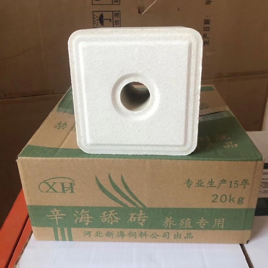 海兴县舔砖  牛羊