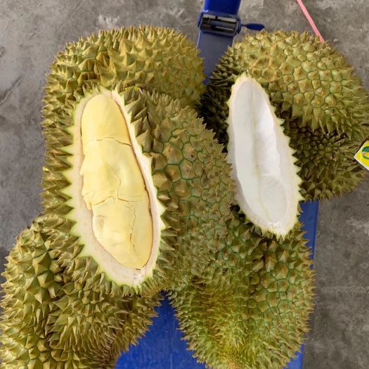 凭祥市一级金枕榴莲
，原产地直发国内