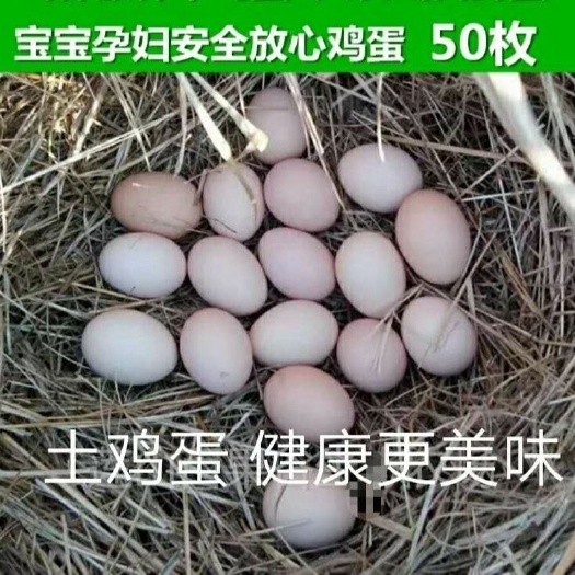 紫云县 贵州安顺农家散养包谷喂养新鲜土鸡蛋