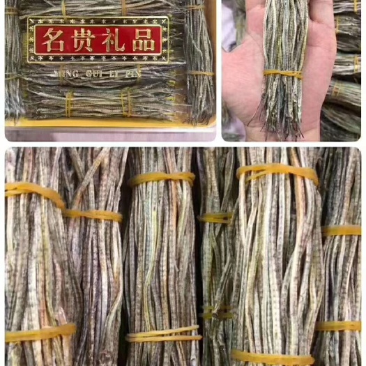 广州小龙虾  海里小龙鱼 小龙鱼