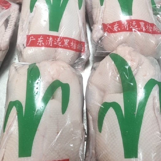 佛山鹅肉类 黑粽鹅烧腊原材料