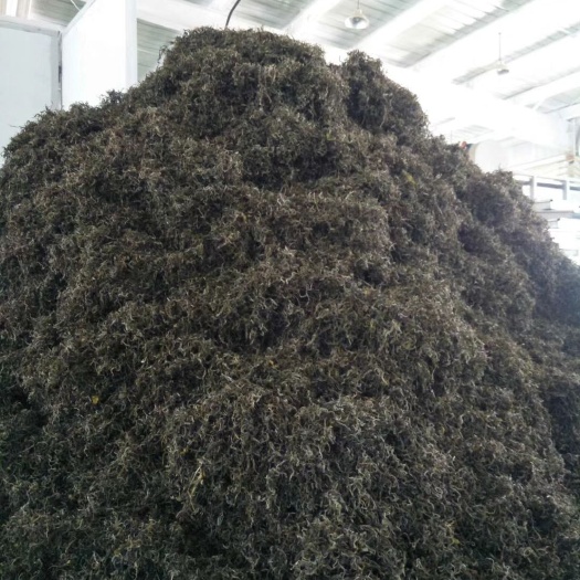 湄潭县云南绿茶 1年以下