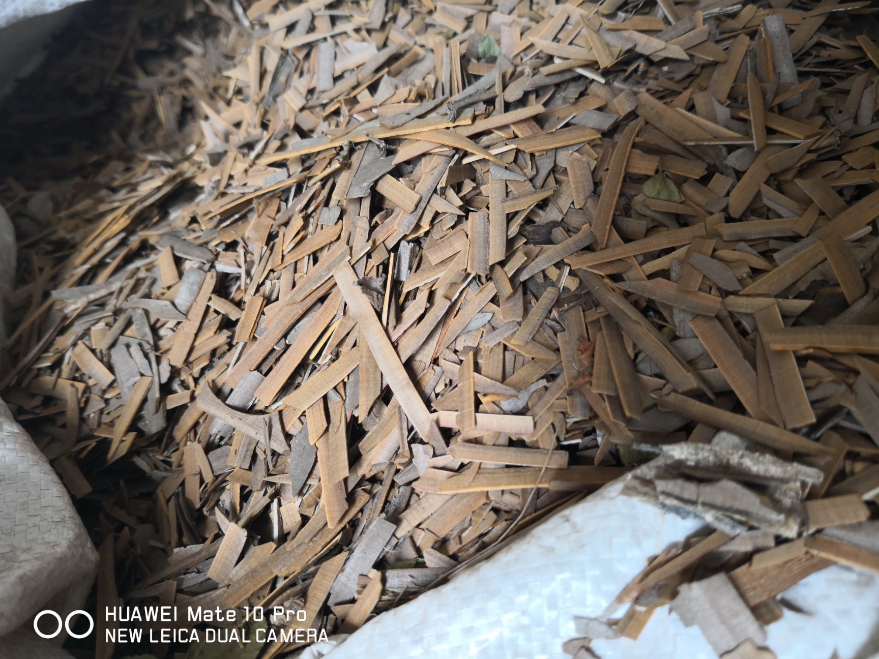 鬼箭羽    过筛选货   2斤包邮 量大从优