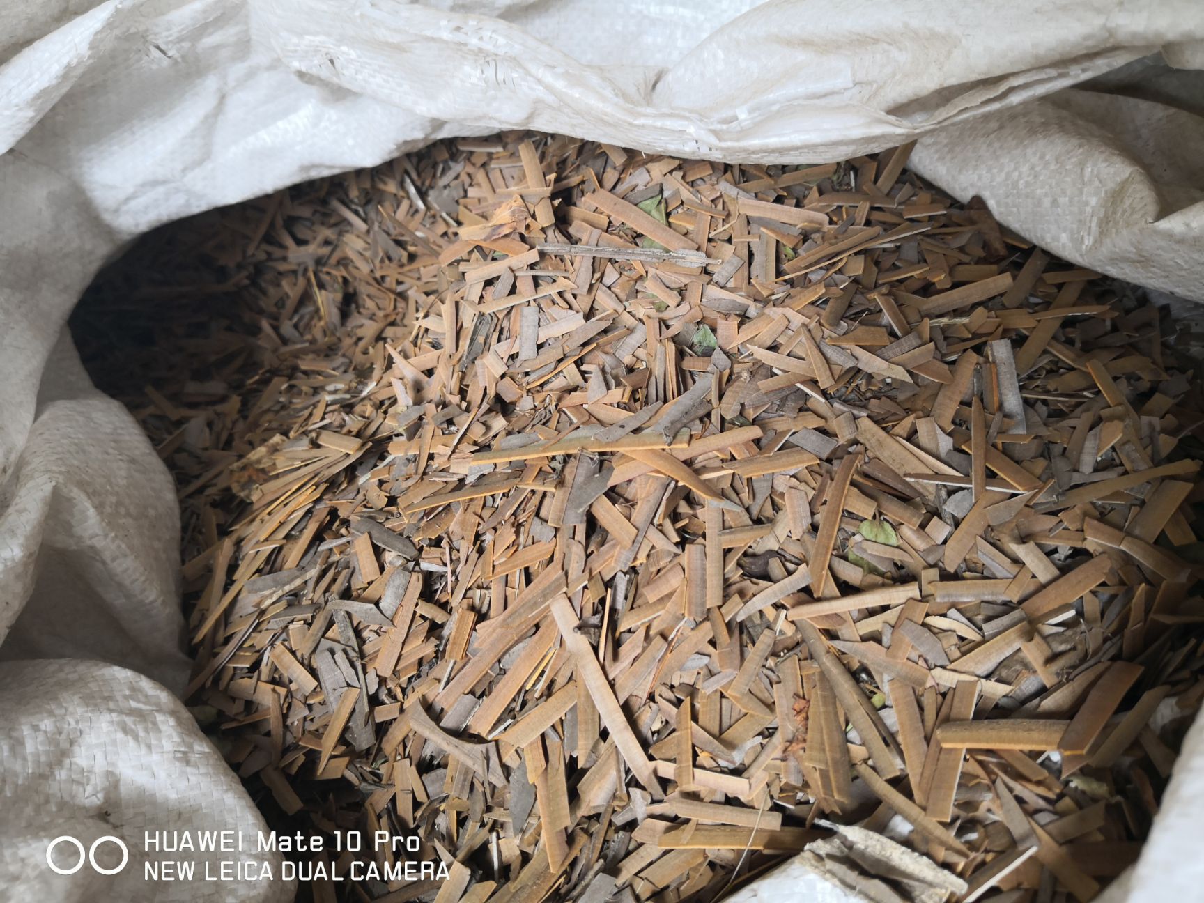 鬼箭羽    过筛选货   2斤包邮 量大从优