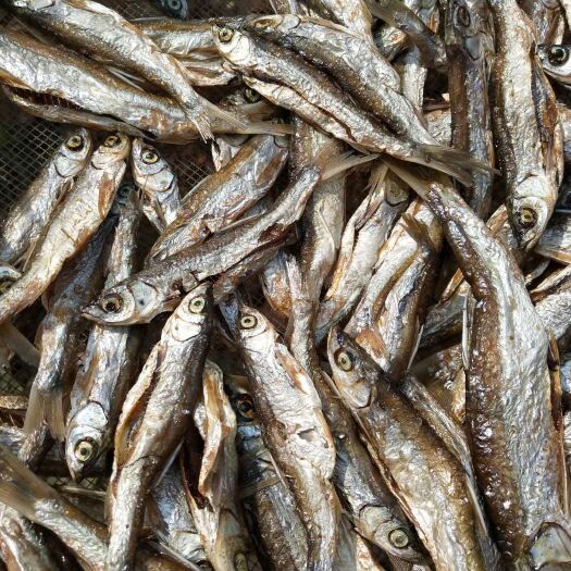 上饶刁子鱼干  油干开肚鱼干蓝刀无盐鱼干白肖鱼油炸翘嘴鱼