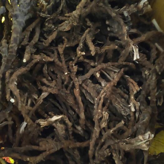 宁都县江西石菖蒲干货