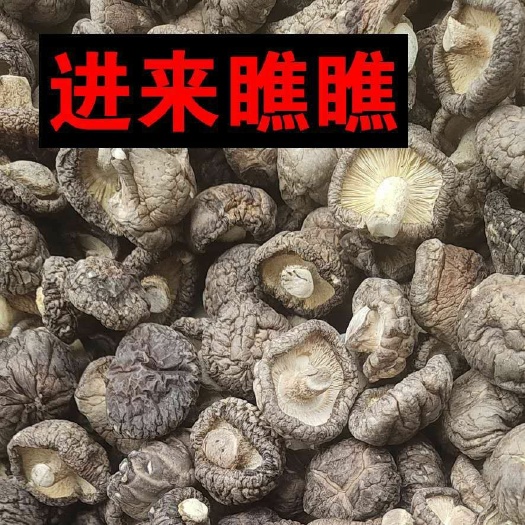 泌阳县香菇 干香菇 香菇批发 产地直发！剪脚 品质好 全国包邮！！