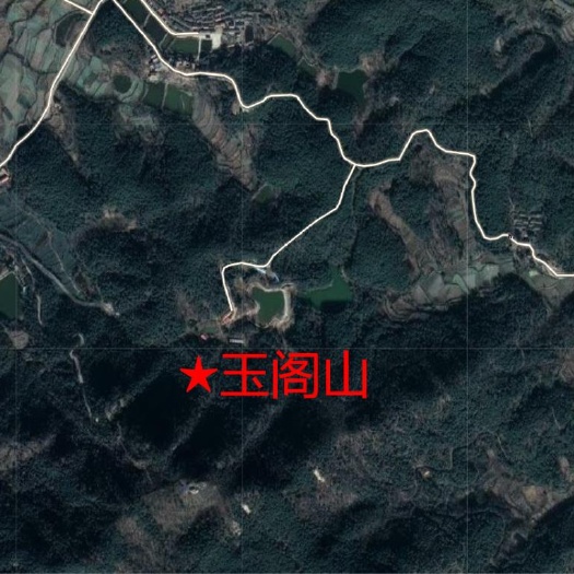 武汉生态园林 2000亩林地适合度假旅游景区康养基地种植养殖可以合作