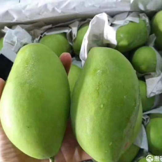金平县玉芒 香味浓郁