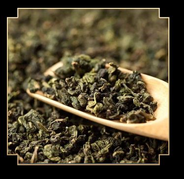  精装桑叶乌龙茶