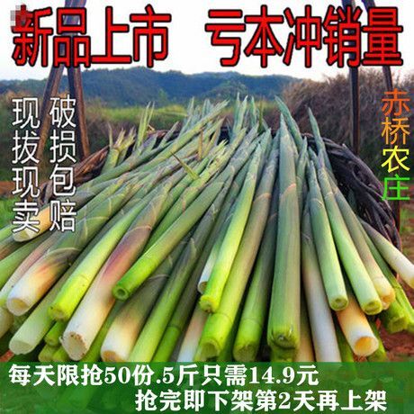 沅江市白芦笋 原产地