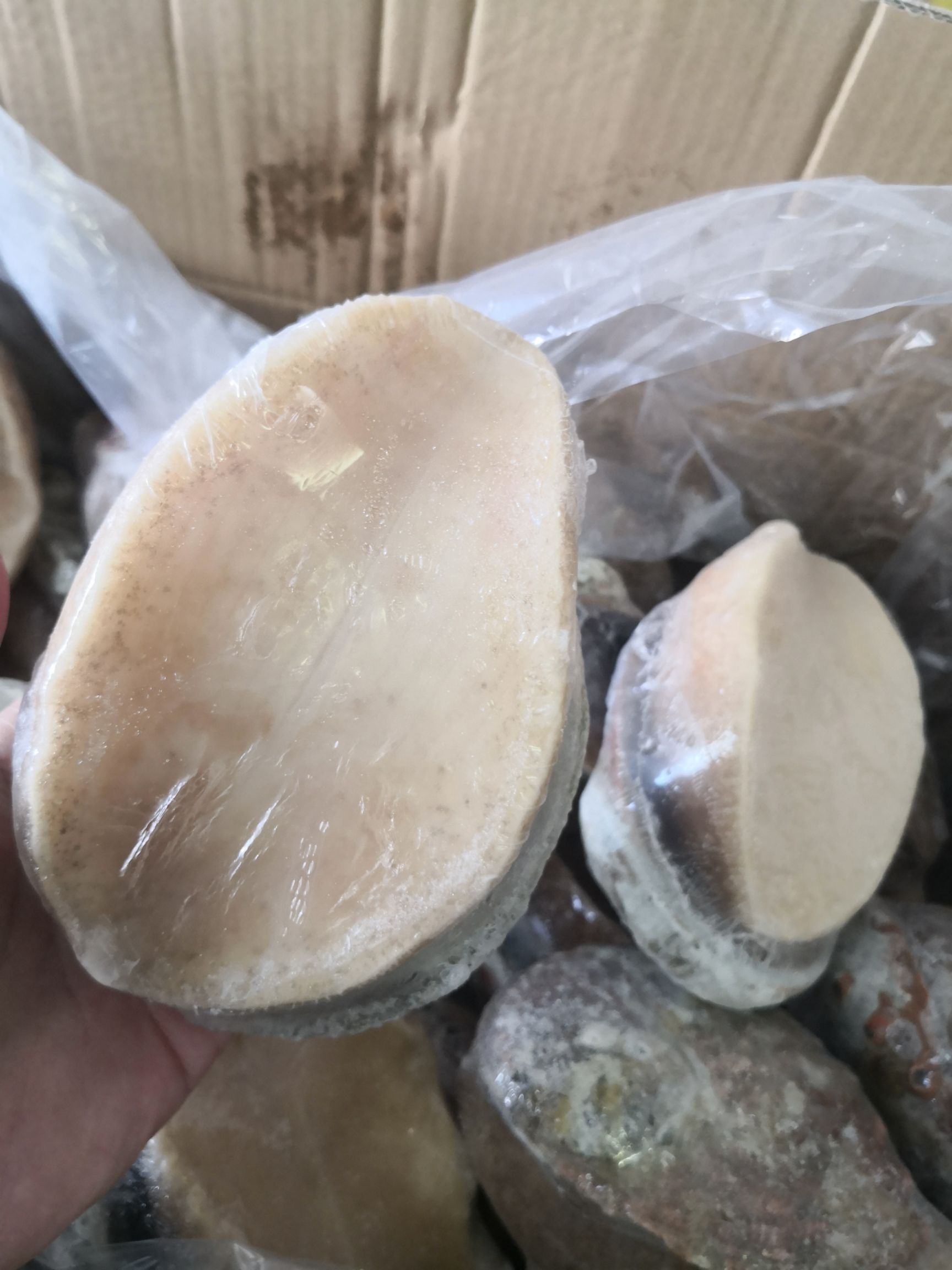 抖音澳鲍=抖音的黄金大澳鲍是什么