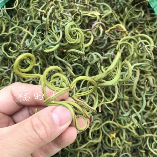 安国市肾精茶长白山肾精草茶关东化石草男性滋补调理东北特产养生肾精