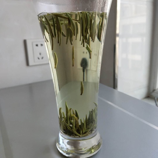 大同竹叶青茶 恒温长期保存