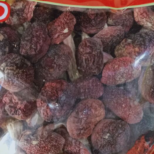  云南红菇实拍