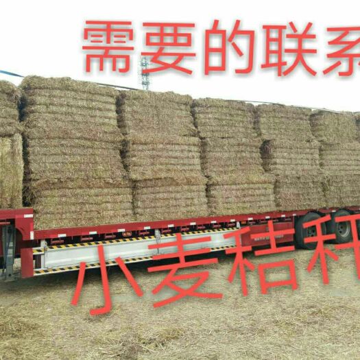涡阳县小麦秸秆  量大优惠诚信合作
