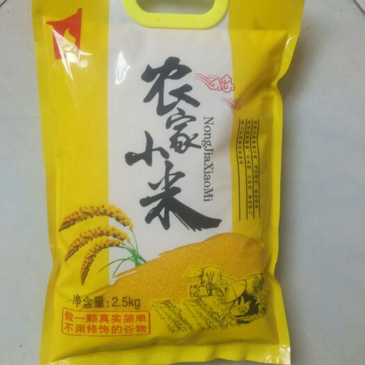 石家庄 精选农家小米