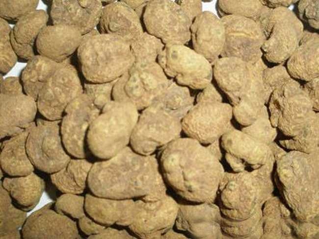 洋县 大量供应湿元胡