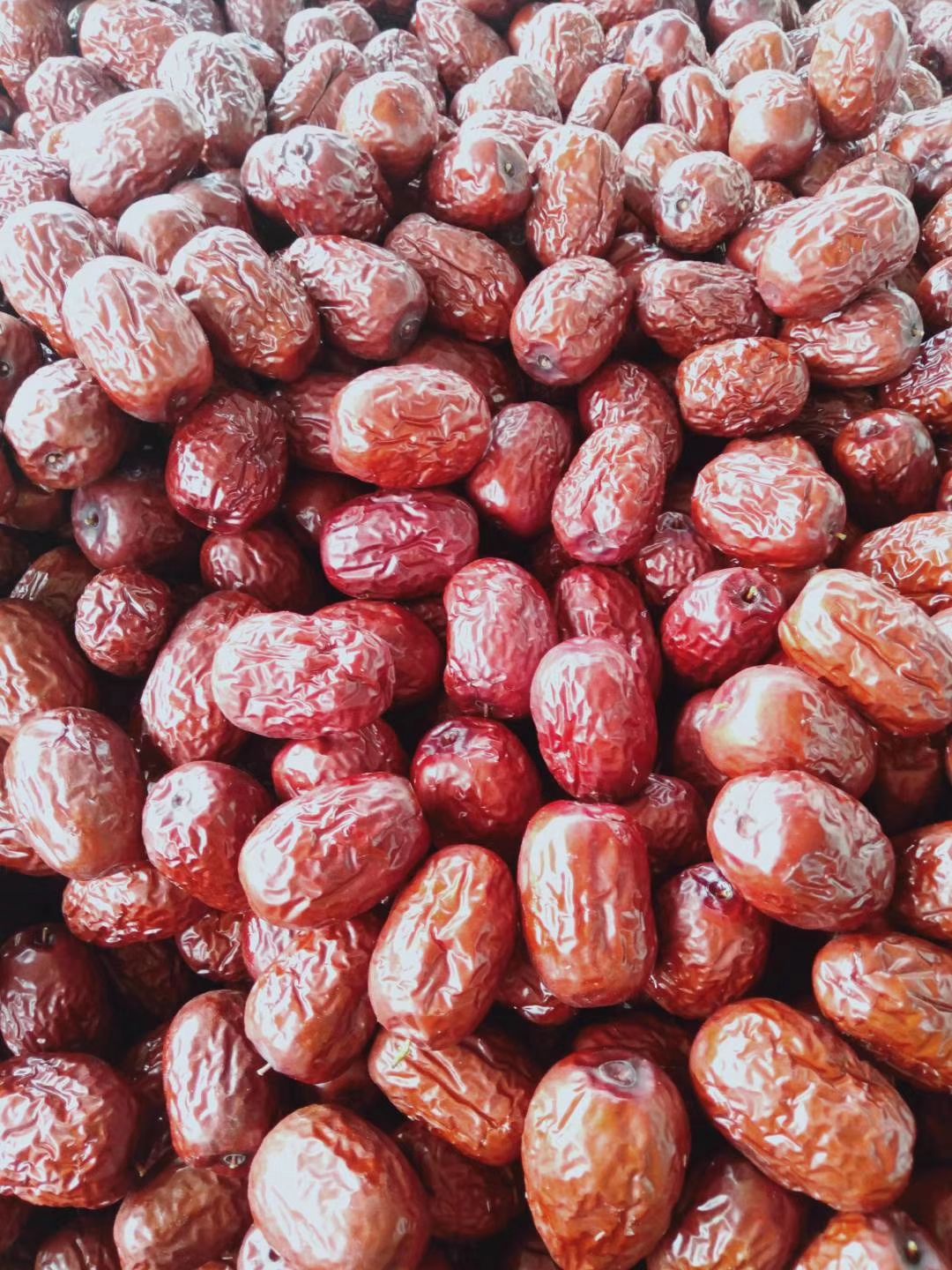 新疆红枣 6-12个月