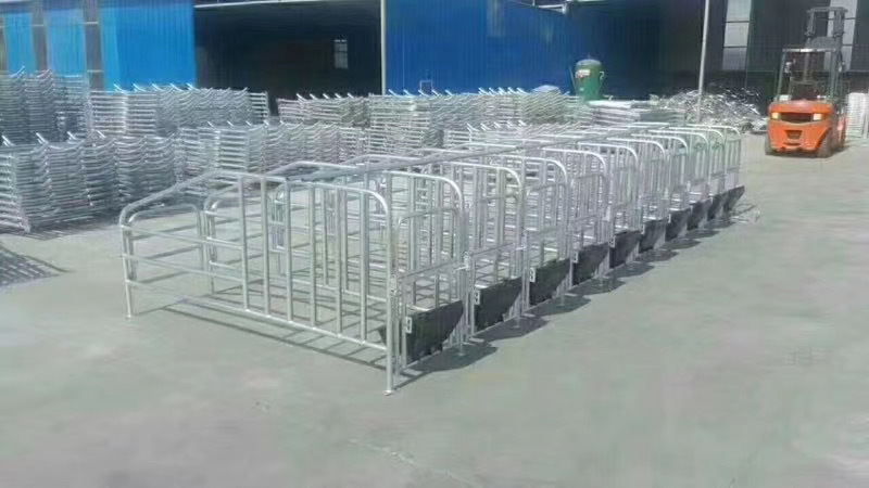 长治养殖设备 限位栏