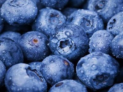  道教圣地“齐云山”脚下，无公害蓝莓批发了！