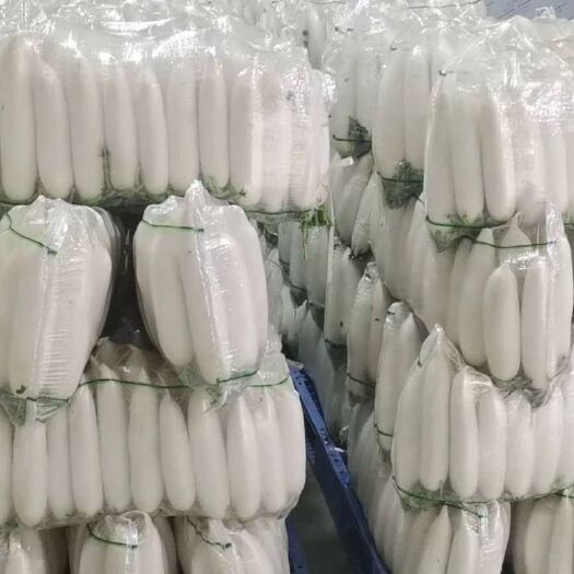 天门市湖北白萝卜二十万亩基地海量上市中，量大便宜质量好，诚信合作