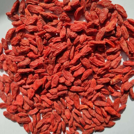 中宁县红枸杞 280粒50g