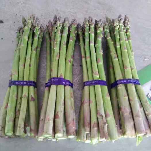 新乡 有没有收购芦笋的厂家，大量有货