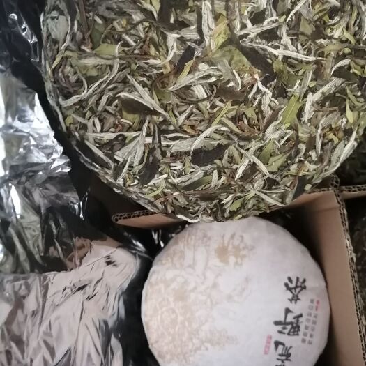 福鼎市 荒野白茶饼