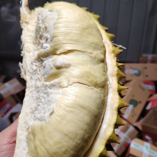 昆明 泰国金枕头榴莲 新鲜带壳水果现摘特产包邮