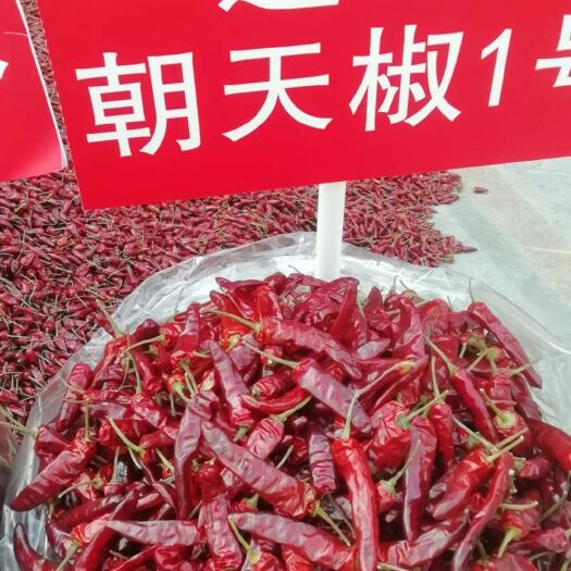 遵义越南小米椒 我有贵州满天星   艳椒    遵椒   二荊条