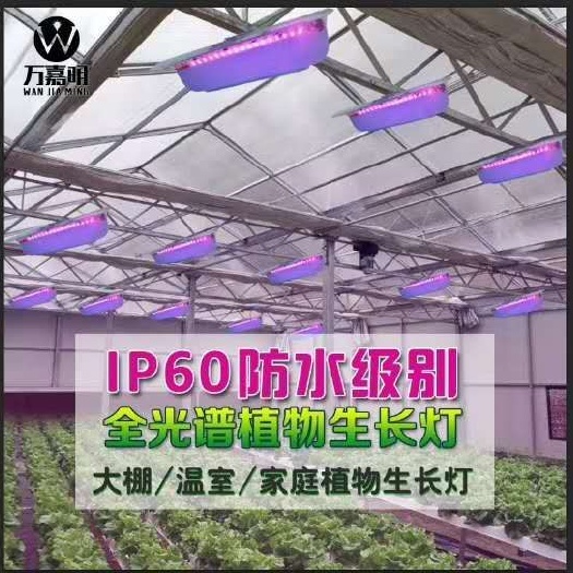 中山市植物补光灯 家用大棚用户外用都可以。防水碘钨植物灯50W