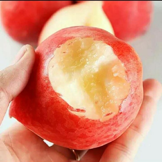  好吃的新鲜油桃孕妇水果当季现摘白心桃子一箱酸甜口非毛桃水蜜桃