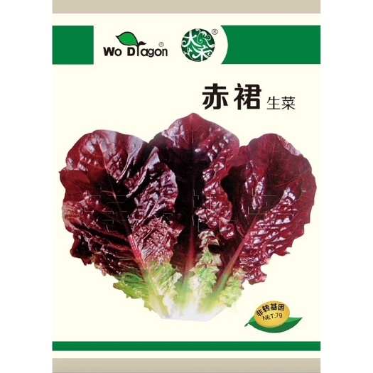 寿光市 赤裙生菜种子红紫色大叶包饭菜沙拉四季盆栽农家韩国蔬菜种