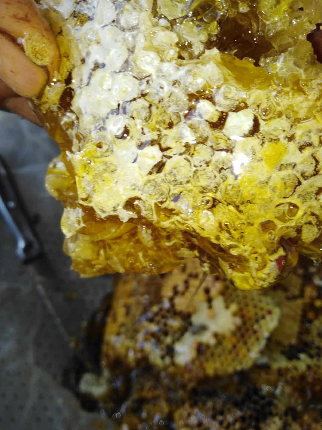  棉花花糖土蜂蜜