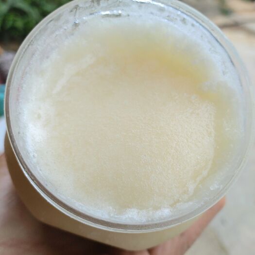 蒙山县百花蜜 2年以上 42 本品不能代替药物