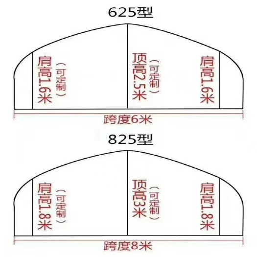 天津蔬菜大棚