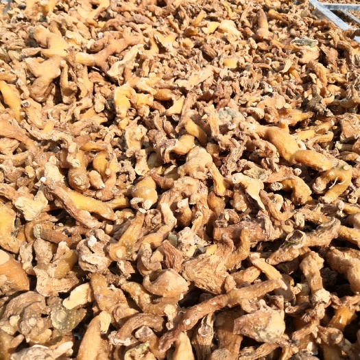 营山县 高山黄精干个子 包邮（特殊地区除外）