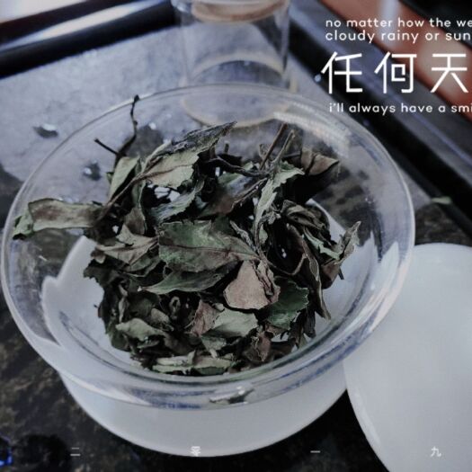 福鼎市 福鼎白茶