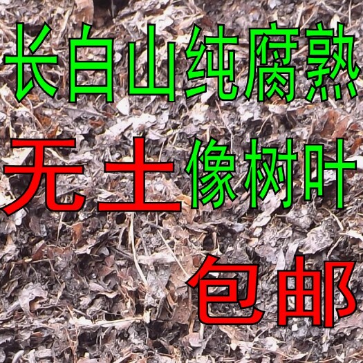 吉林市木屑  君子兰专用腐叶土，天然发酵橡树叶，干橡树叶