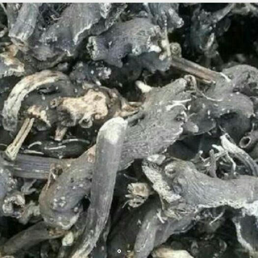 峨边县北升麻 录升玛