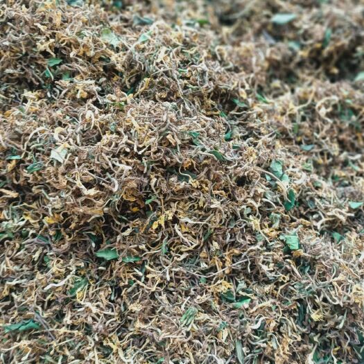 三都县山银花  金银花