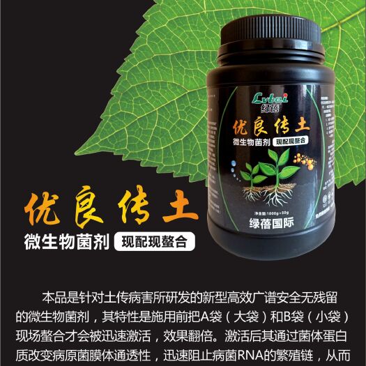 扶沟县复合微生物菌剂  土传病害根腐病茎腐病沤根烂根微生物菌剂冲施滴灌