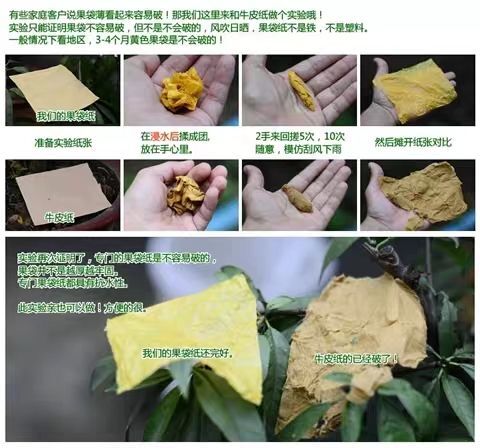 种植套袋  果袋套袋 水果纸袋 桃袋育果袋 包邮 防雨防虫防