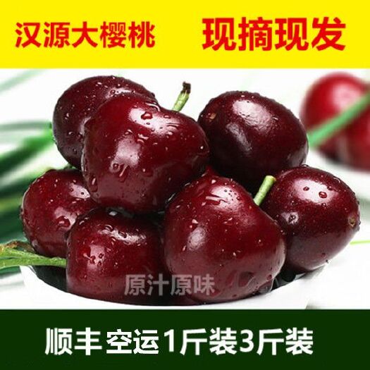 汉源县 山水人间，樱桃小村，新鲜大樱桃，现摘现发，质量有保证。无农